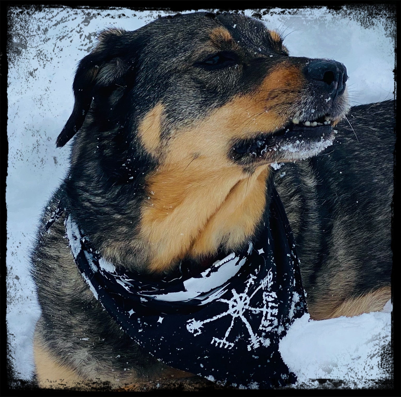 Sonic Traveler Skull Runes Bandana #1